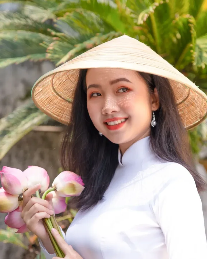 Dự án gần đây